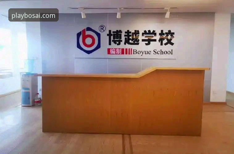 博喜数据支持 博喜体育官网数据支持操作教程:从入门到精通的高效指南